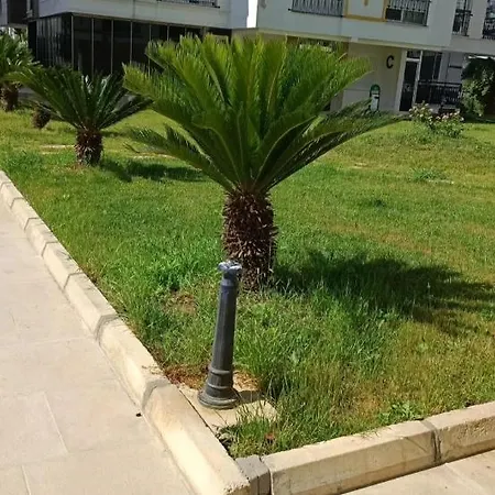 Nin Gozdesi,hurmanin Incisi * Antalya